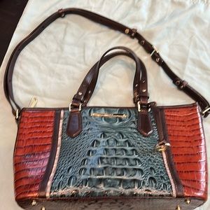 Brahmin multi colored purse